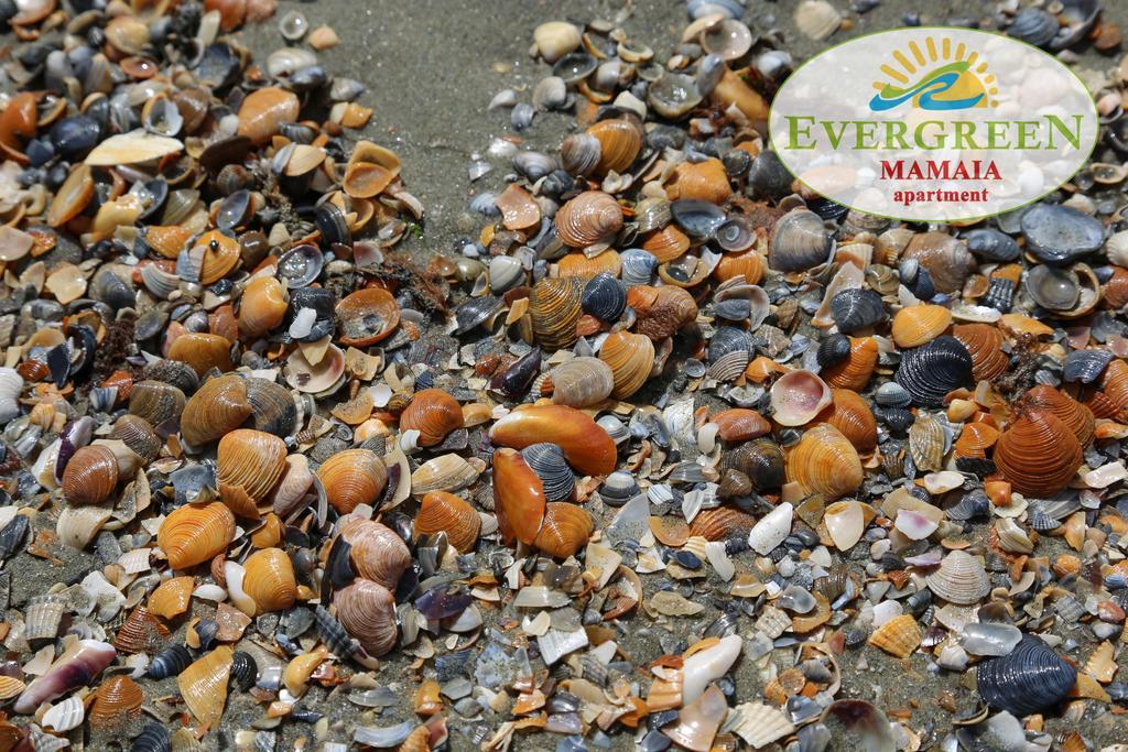 Evergreen Vlas Mamaia Sud Zewnętrze zdjęcie
